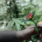 3D开奖第93期最新结果与号码走势全面分析 1qdg9lfi