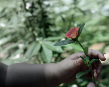 3D开奖第93期最新结果与号码走势全面分析 3D开奖第93期最新结果与号码走势全面分析