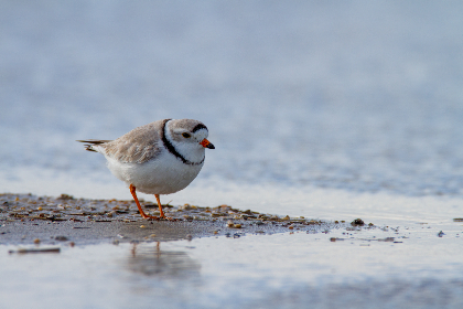 2014年全年完整开奖结果历史数据汇总 2014年全年完整开奖结果历史数据汇总