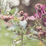 2014年潍坊杯国际青年足球邀请赛全程直播 h587xvl7q