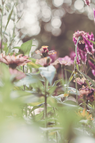 2014年潍坊杯国际青年足球邀请赛全程直播 2014年潍坊杯国际青年足球邀请赛全程直播